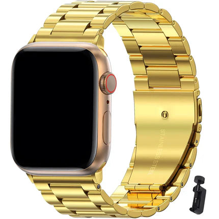 Titanium Jubilee Strap for Apple Watch